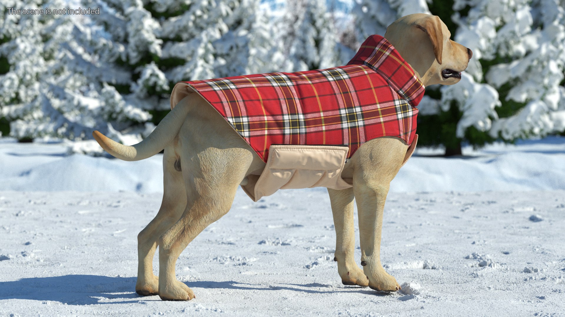 Labrador Wearing Red Coat 3D model https://p.turbosquid.com/ts-thumb/UX/siGOnJ/Fc/labradorwearingredcoatvray3dmodel003/jpg/1678151128/1920x1080/fit_q87/223af1ac6bc04cfff2cf79b2bbe58ca901c5ebbc/labradorwearingredcoatvray3dmodel003.jpg