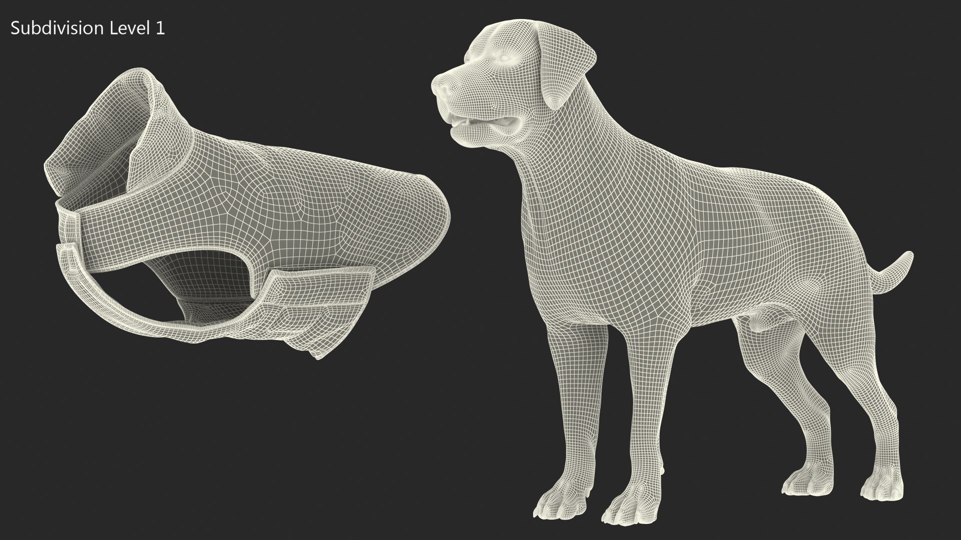 Labrador Wearing Red Coat 3D model https://p.turbosquid.com/ts-thumb/UX/siGOnJ/Kv/labradorwearingredcoatvray3dmodel019/jpg/1678151182/1920x1080/fit_q87/c23bdc60878bc8a78a7e4883e7ead004486361b2/labradorwearingredcoatvray3dmodel019.jpg