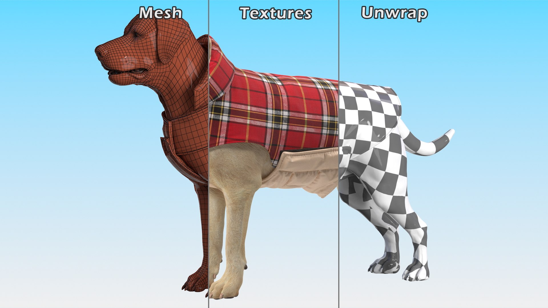 Labrador Wearing Red Coat 3D model https://p.turbosquid.com/ts-thumb/UX/siGOnJ/Qr/labradorwearingredcoatvray3dmodel017/jpg/1678151175/1920x1080/fit_q87/0d766ba55368cfe3ad1ae0ecab3455b2f3878d10/labradorwearingredcoatvray3dmodel017.jpg