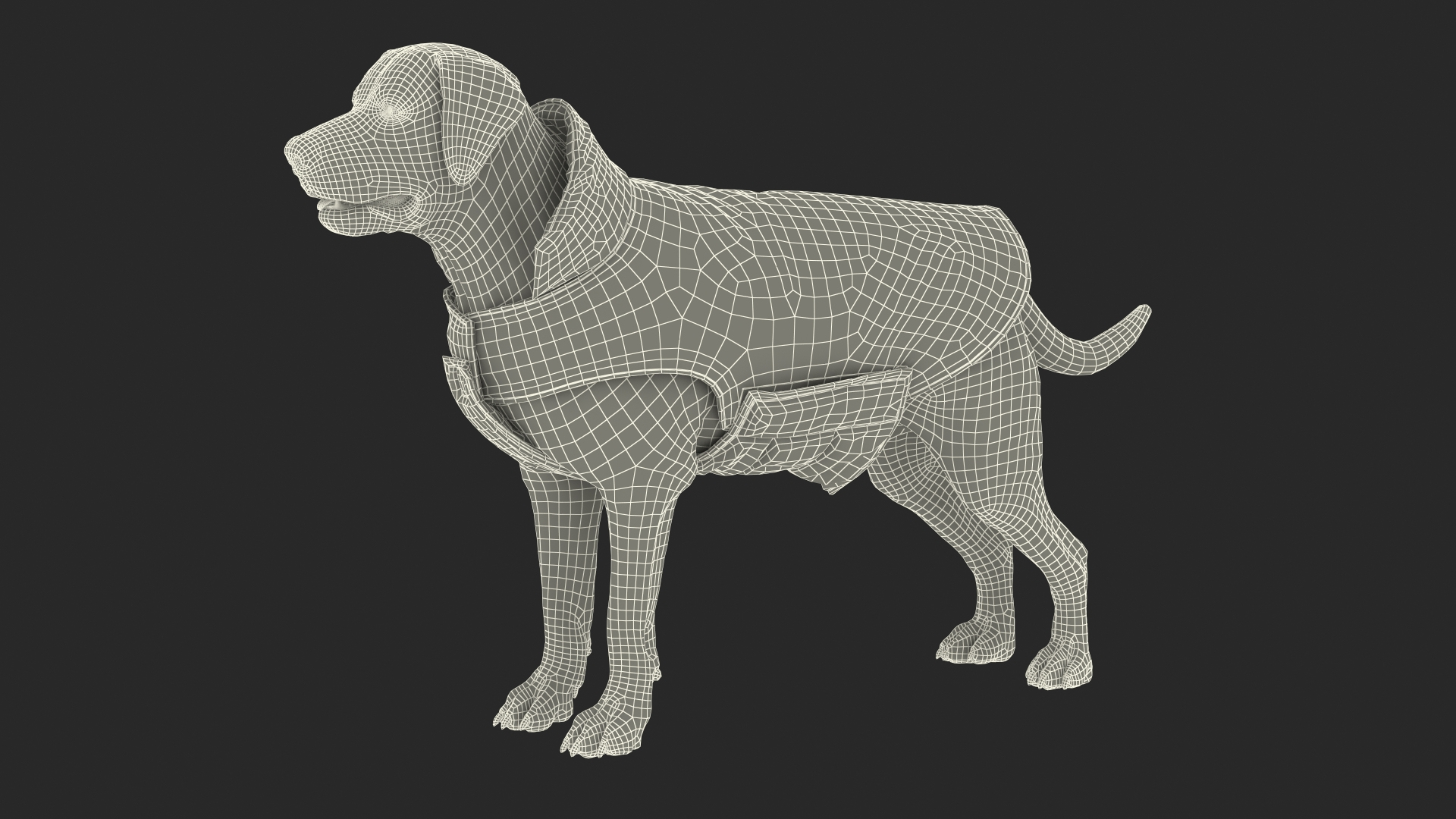 Labrador Wearing Red Coat 3D model https://p.turbosquid.com/ts-thumb/UX/siGOnJ/Wc/labrador_wearing_red_coat_361/jpg/1678150963/1920x1080/turn_fit_q99/9700e562b79ffdc6e5c21ce3fdd64ebefbfb3270/labrador_wearing_red_coat_361-1.jpg
