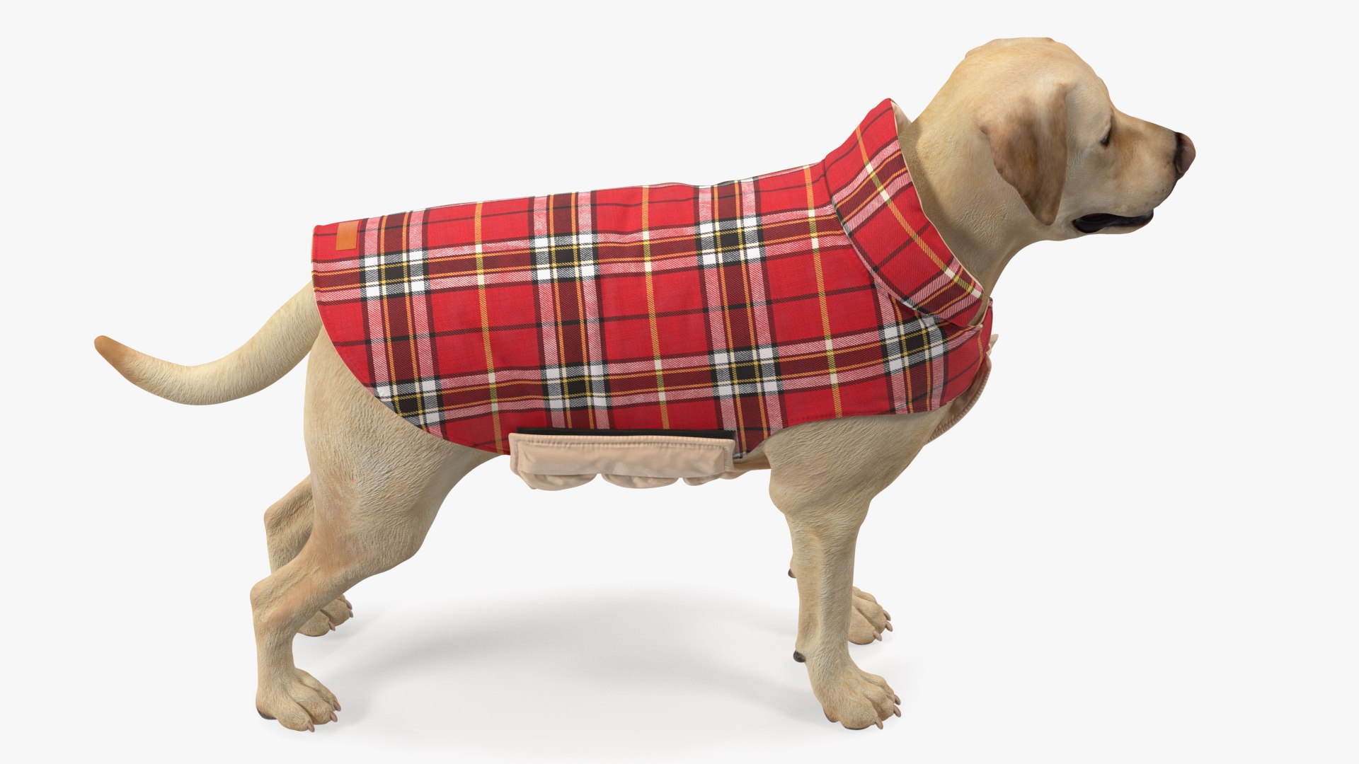Labrador Wearing Red Coat 3D model https://p.turbosquid.com/ts-thumb/UX/siGOnJ/YT/labradorwearingredcoatvray3dmodel008/jpg/1678151145/1920x1080/fit_q87/96eabe4c36d5dd72980f5545df428eed6e4cd133/labradorwearingredcoatvray3dmodel008.jpg