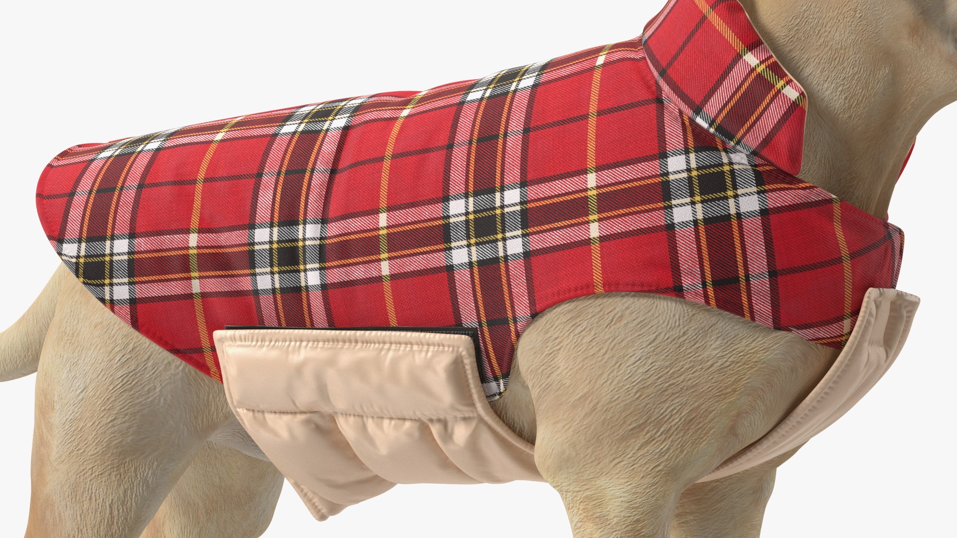 Labrador Wearing Red Coat 3D model https://p.turbosquid.com/ts-thumb/UX/siGOnJ/pE/labradorwearingredcoatvray3dmodel009/jpg/1678151148/1920x1080/fit_q87/6c7384ca7cac7f8a52237052c2caaa8bbf014d36/labradorwearingredcoatvray3dmodel009.jpg