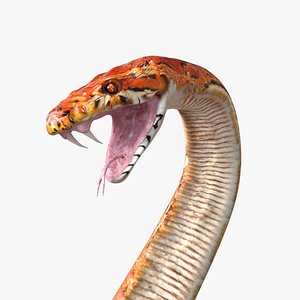 Snake