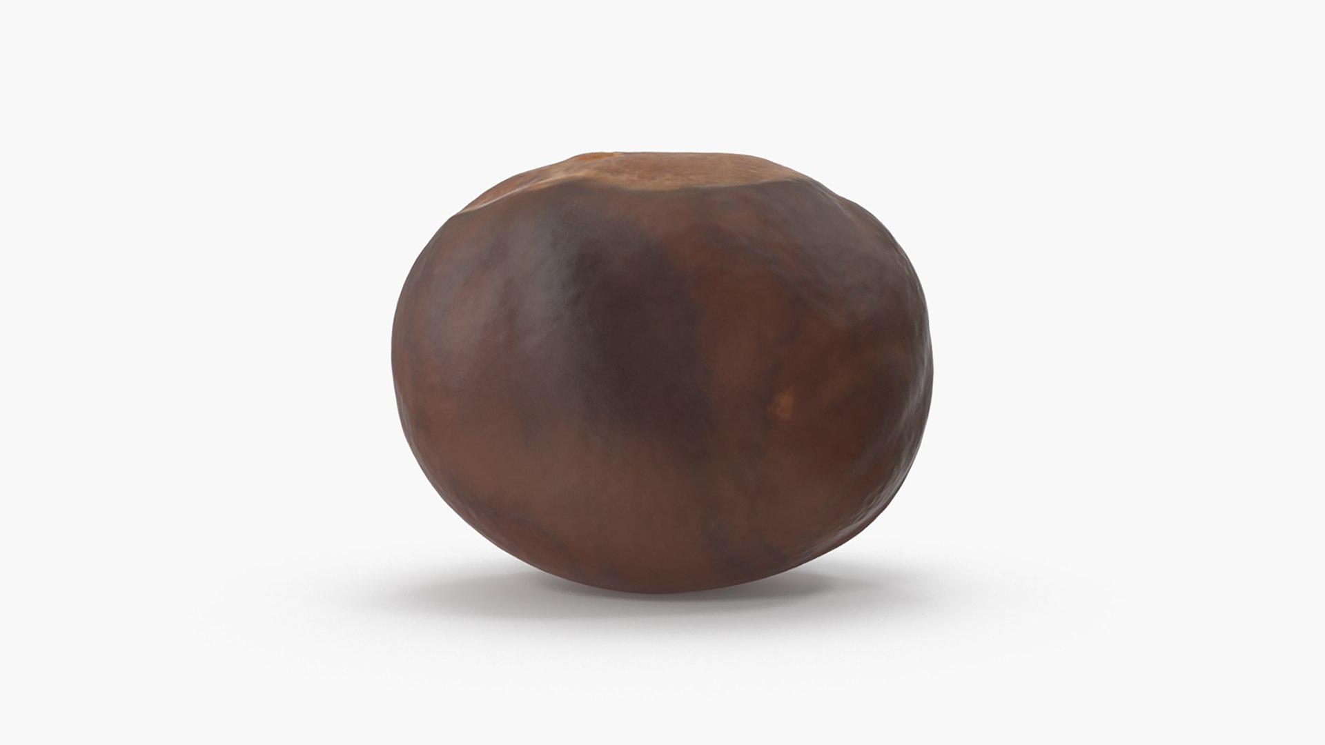 3D model Chestnut Collection https://p.turbosquid.com/ts-thumb/UY/6GREmM/47/chestnut_2_06/png/1683913140/1920x1080/fit_q87/8f4cb615b87bc1cd023ea189076b48400b23cd21/chestnut_2_06.jpg