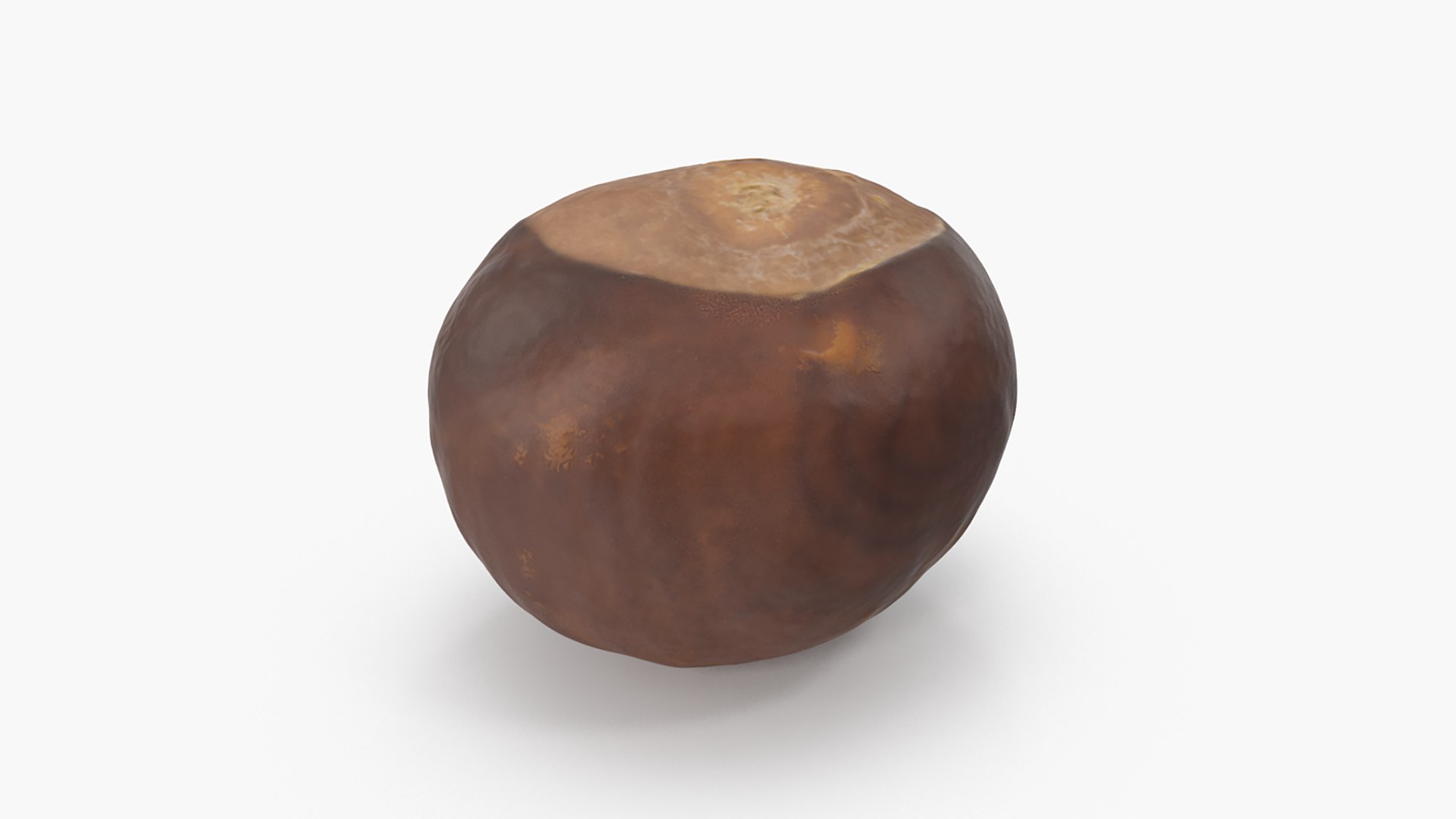 3D model Chestnut Collection https://p.turbosquid.com/ts-thumb/UY/6GREmM/8G/chestnut_2_04/png/1683913141/1920x1080/fit_q87/892148cf8ae42c728b56b01f916c152a564b63ec/chestnut_2_04.jpg