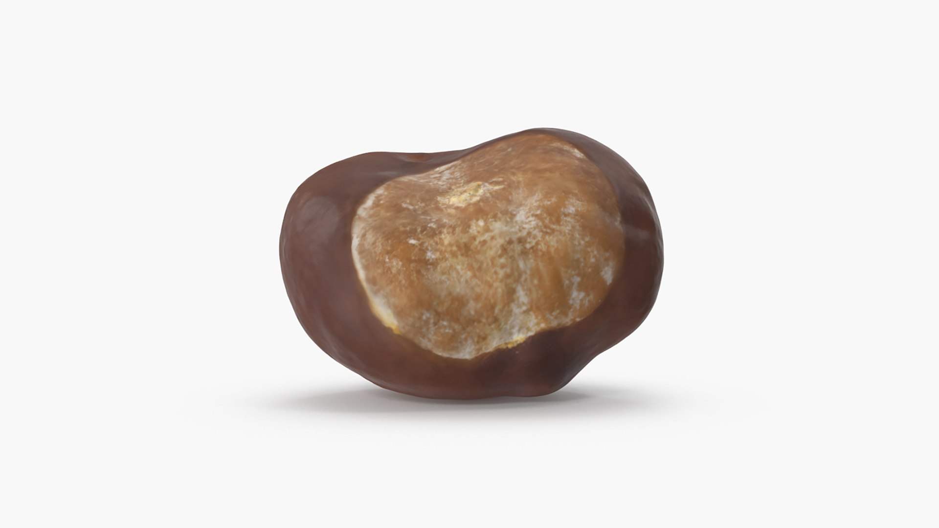 3D model Chestnut Collection https://p.turbosquid.com/ts-thumb/UY/6GREmM/LS/chestnut_3_04/png/1683913285/1920x1080/fit_q87/d98990face7304f35248e7a5e88b11aee2e63575/chestnut_3_04.jpg