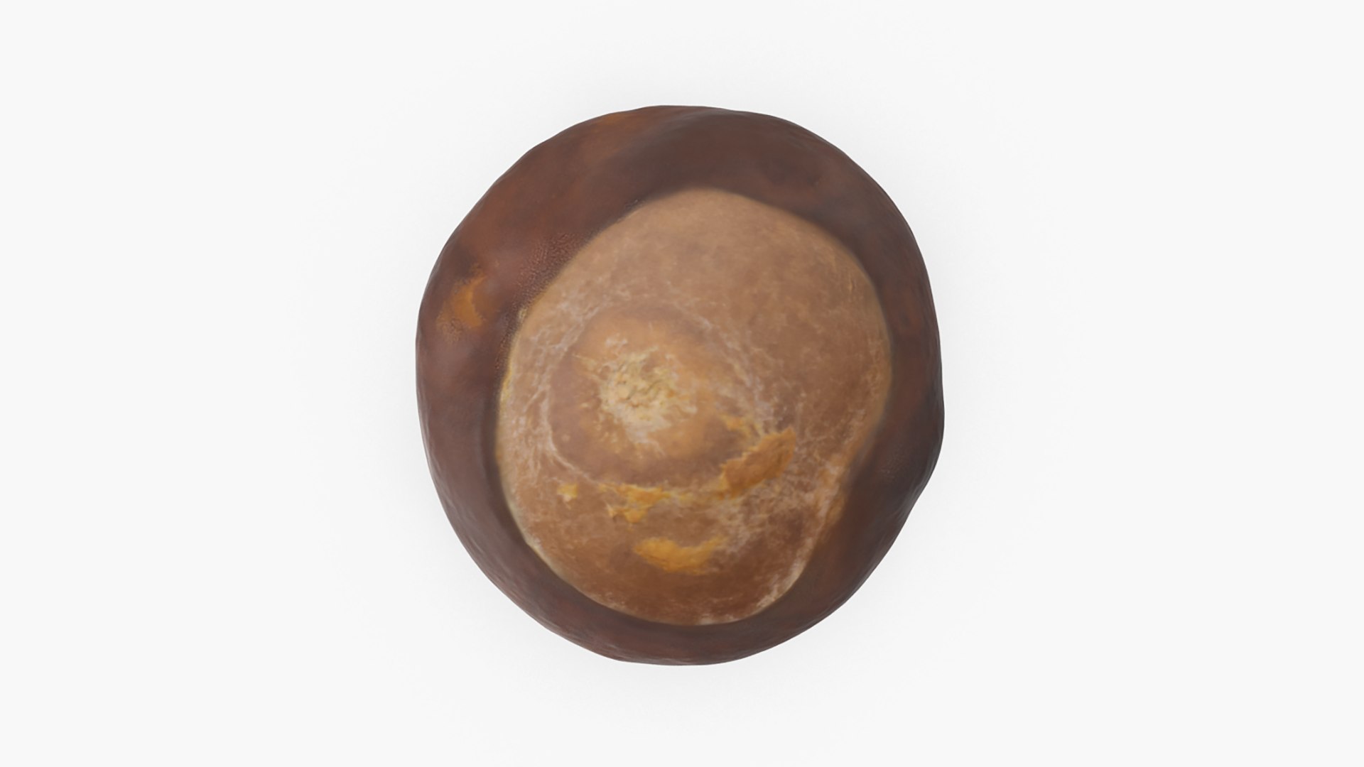 3D model Chestnut Collection https://p.turbosquid.com/ts-thumb/UY/6GREmM/MN/chestnut_2_01/png/1683913139/1920x1080/fit_q87/eb12b6d2698d5cef500cdd4bbe1dbcdbd3c913bb/chestnut_2_01.jpg