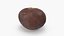 Chestnut Collection