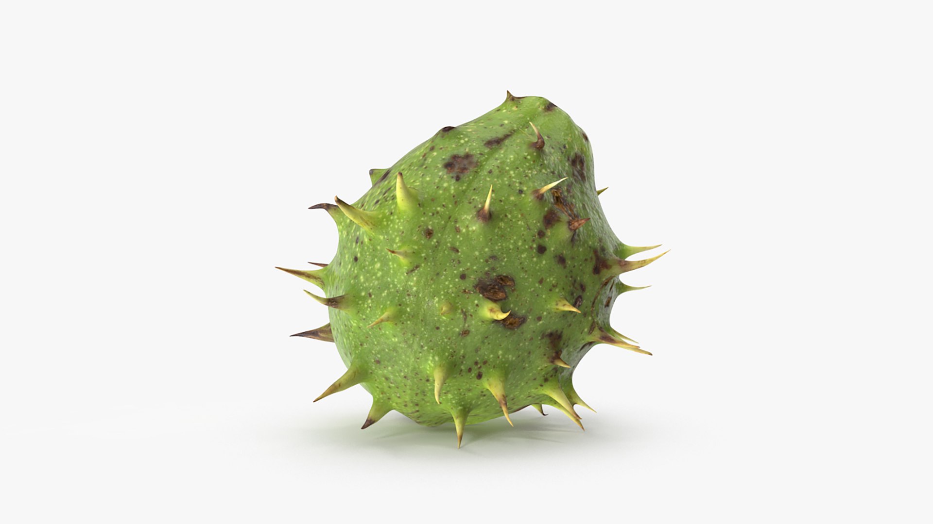 3D model Chestnut Collection https://p.turbosquid.com/ts-thumb/UY/6GREmM/fC/chestnut_1_03/jpg/1683912558/1920x1080/fit_q87/5337b21172dabe78db1444189bbce7bcf4273cfd/chestnut_1_03.jpg