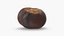 Chestnut Collection