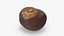 Chestnut Collection