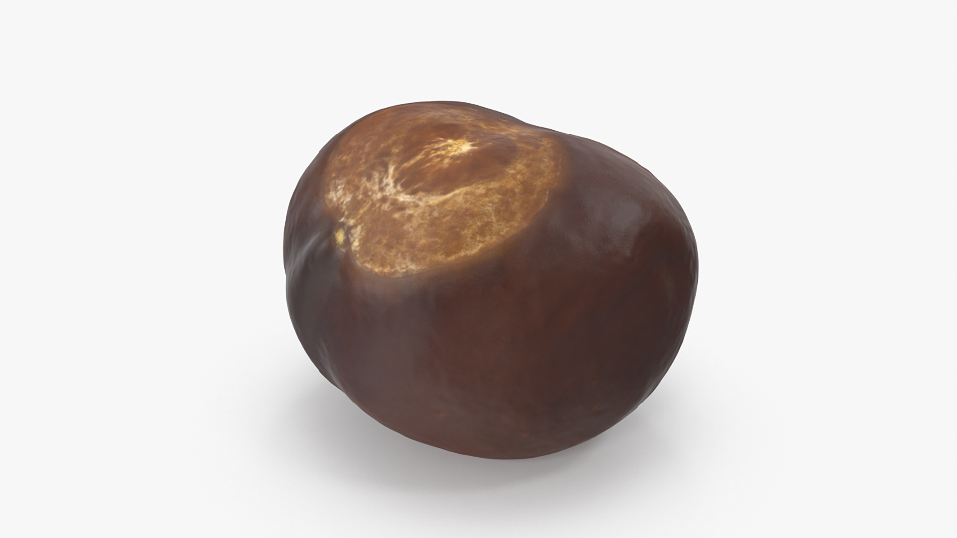 3D model Chestnut Collection https://p.turbosquid.com/ts-thumb/UY/6GREmM/sq/chestnut_1_turntable/jpg/1683912172/1920x1080/turn_fit_q99/20c998010294ac15de2f32ef11aca378718dfe53/chestnut_1_turntable-1.jpg