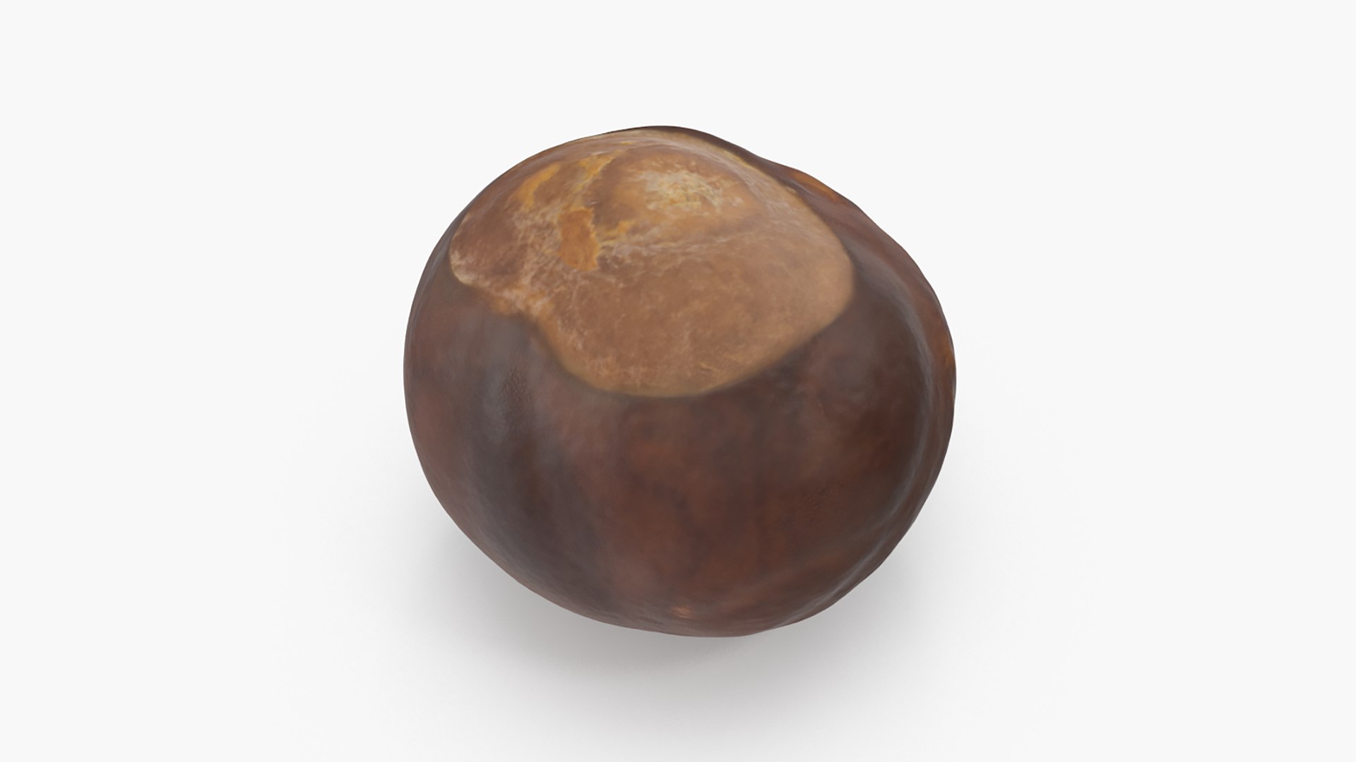 3D model Chestnut Collection https://p.turbosquid.com/ts-thumb/UY/6GREmM/tc/chestnut_2_02/png/1683913140/1920x1080/fit_q87/2c67a88e632b246da650f882d2302bb0504d9286/chestnut_2_02.jpg