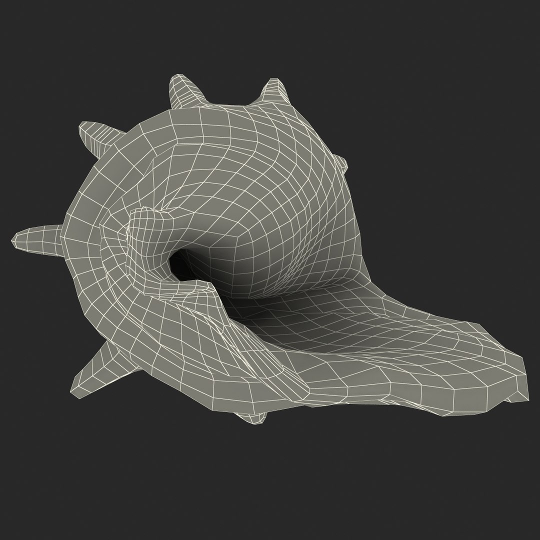 3ds conch shell https://p.turbosquid.com/ts-thumb/UY/6GvadH/Tix9YiDB/016_conch_shell_g/jpg/1407935081/1920x1080/fit_q87/7bb8f9bad954d69800b76076b4cd98baa16a3159/016_conch_shell_g.jpg