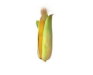 3D corn maize