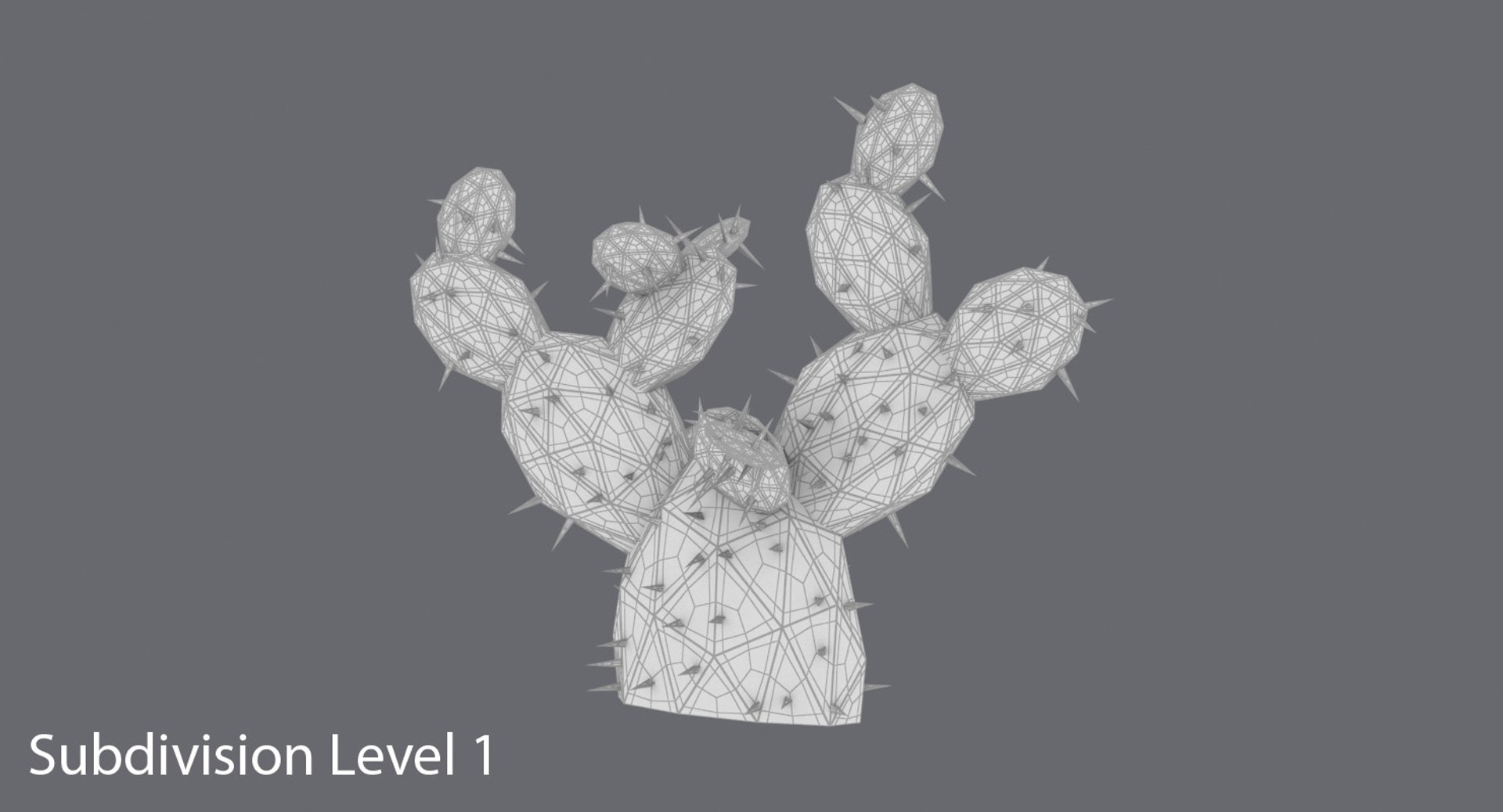 desert plant cactus 01 max https://p.turbosquid.com/ts-thumb/UY/8mW5ms/RMXorFXG/other_cactus_01_subdivisions_0000/jpg/1475788106/1920x1080/fit_q87/6ab5d573cbc927eef55f7a94f41e972b7df3e7ff/other_cactus_01_subdivisions_0000.jpg