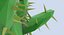Wüstenpflanze Sonstige Cactus 01 Low Poly