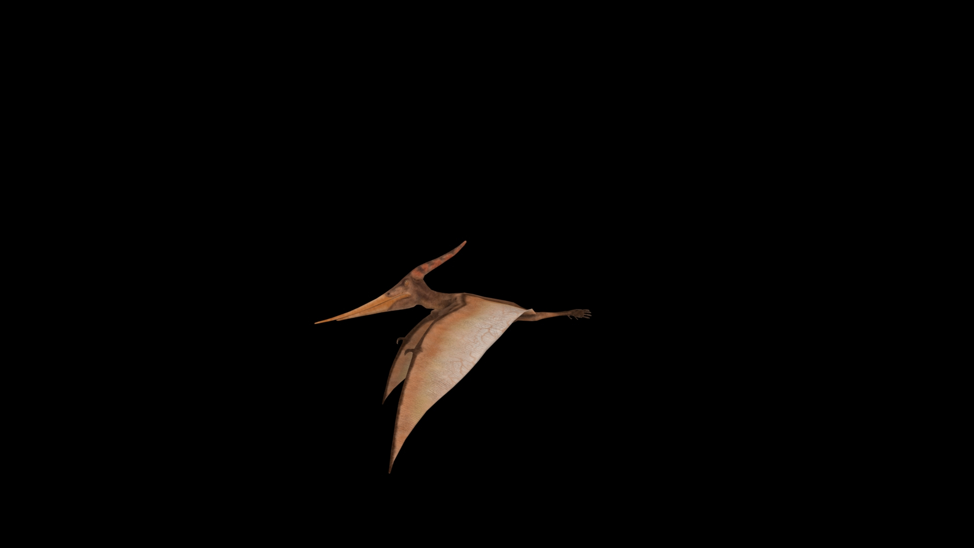 Pteranodon 3D model https://p.turbosquid.com/ts-thumb/UY/9I3RDE/5O/01/jpg/1639486685/1920x1080/turn_fit_q99/0f6c9569dbc79813c28f15164b9ea857f14d1d73/01-1.jpg