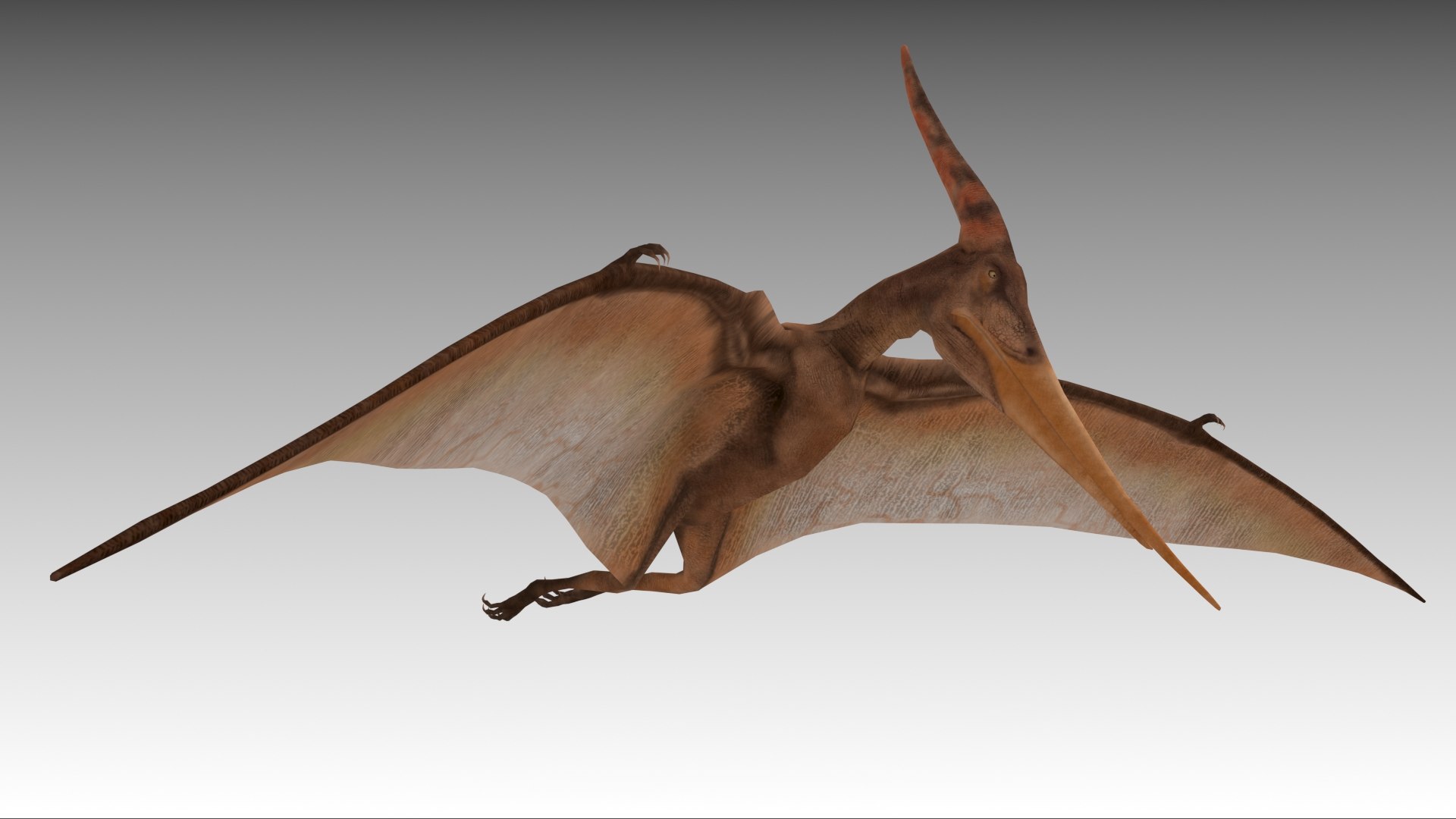 Pteranodon 3D model https://p.turbosquid.com/ts-thumb/UY/9I3RDE/BG/pteranodon_screenshot_08/jpg/1639485343/1920x1080/fit_q87/9acb9c1f629048d253a6162f29b6c135b86716ae/pteranodon_screenshot_08.jpg
