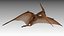 Pteranodon