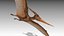 Pteranodon