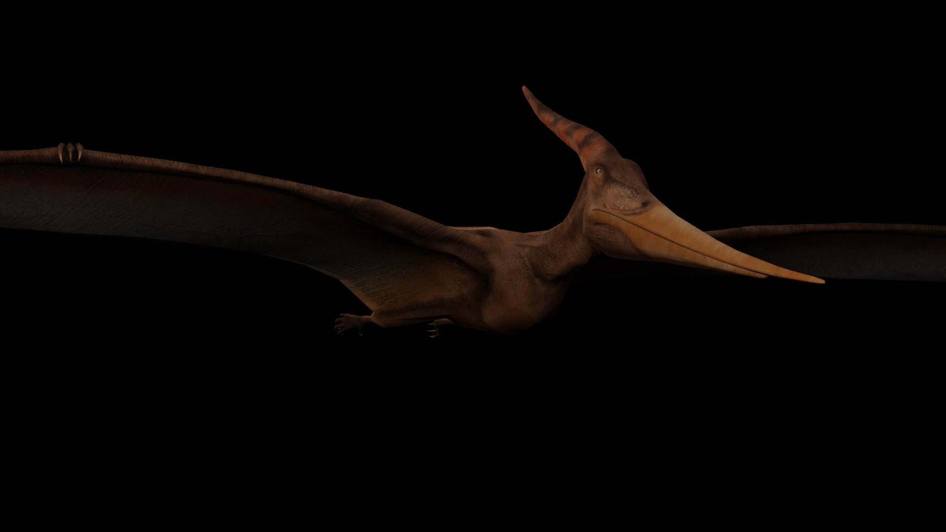Pteranodon 3D model https://p.turbosquid.com/ts-thumb/UY/9I3RDE/ef/pteranodon_blender_03/jpg/1639485341/1920x1080/fit_q87/ad517af63ce9bd9a2301df400e18105881f6efe4/pteranodon_blender_03.jpg