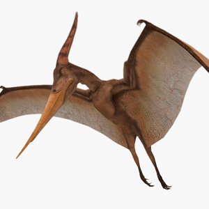 Pteranodon