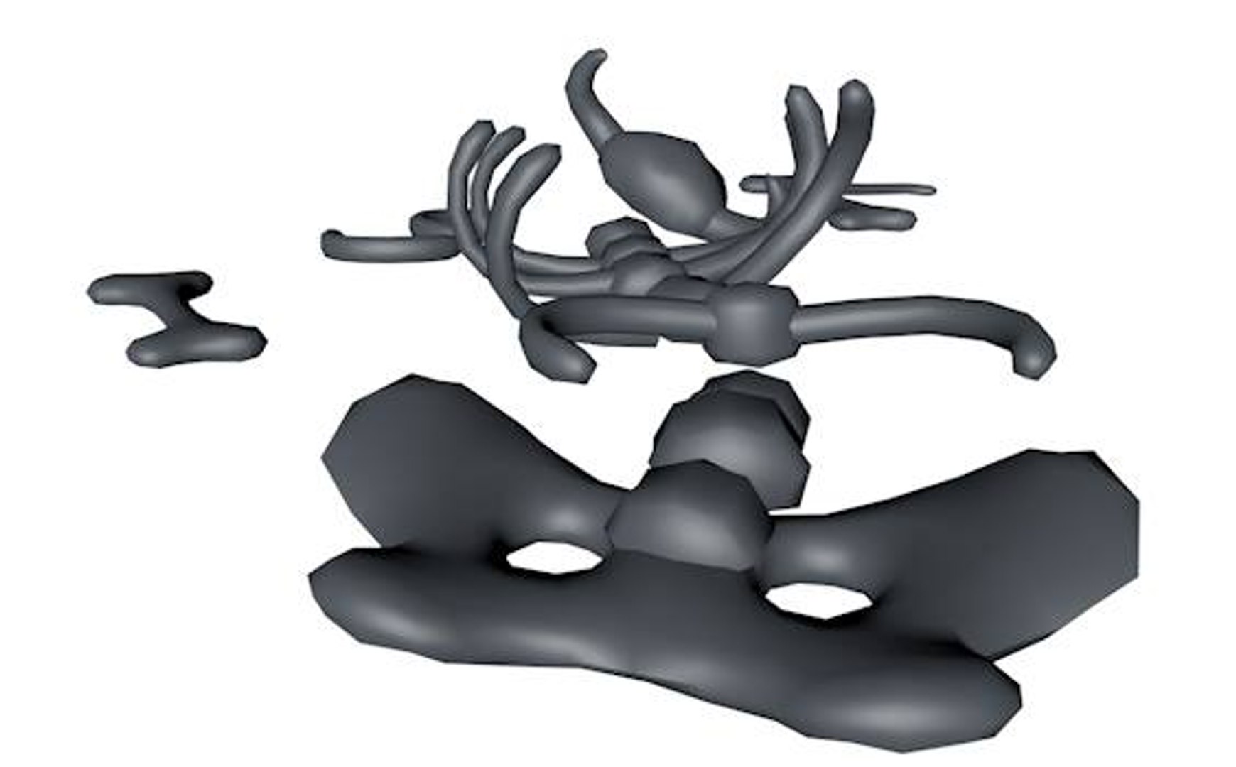 3d Cow Skeleton Model
