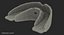 Orthodontic Braces Retainers 3D Model