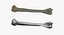 domestic cat humerus bone model