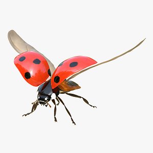 Flying Ladybug with Fur Rigged 3D Model