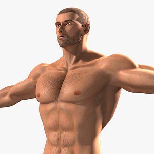 Muscular Male