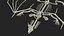 Dragon Skeleton in Unfolded State 3D