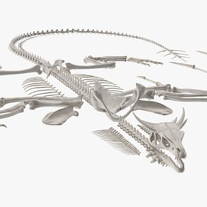 Dragon Skeleton in Unfolded State 3D