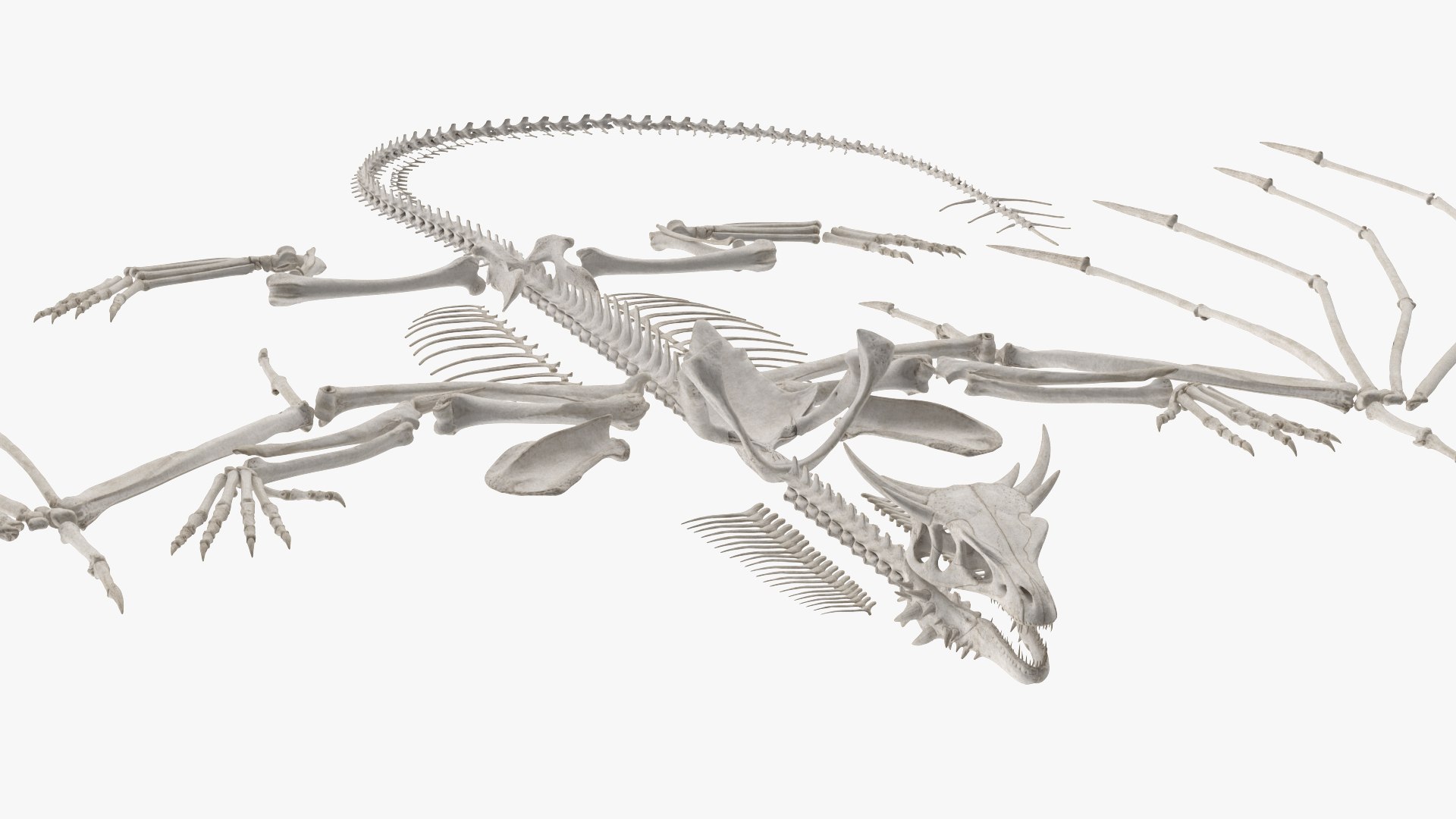 Dragon Skeleton in Unfolded State 3D https://p.turbosquid.com/ts-thumb/UY/X1Z4ir/Tx/dragon_skeleton_in_unfolded_state_002/jpg/1741010279/1920x1080/fit_q87/129680bf005aef7a53ba9e7f182eed532ff5d6b6/dragon_skeleton_in_unfolded_state_002.jpg