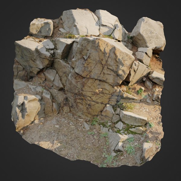 3D scanned cliff face h model