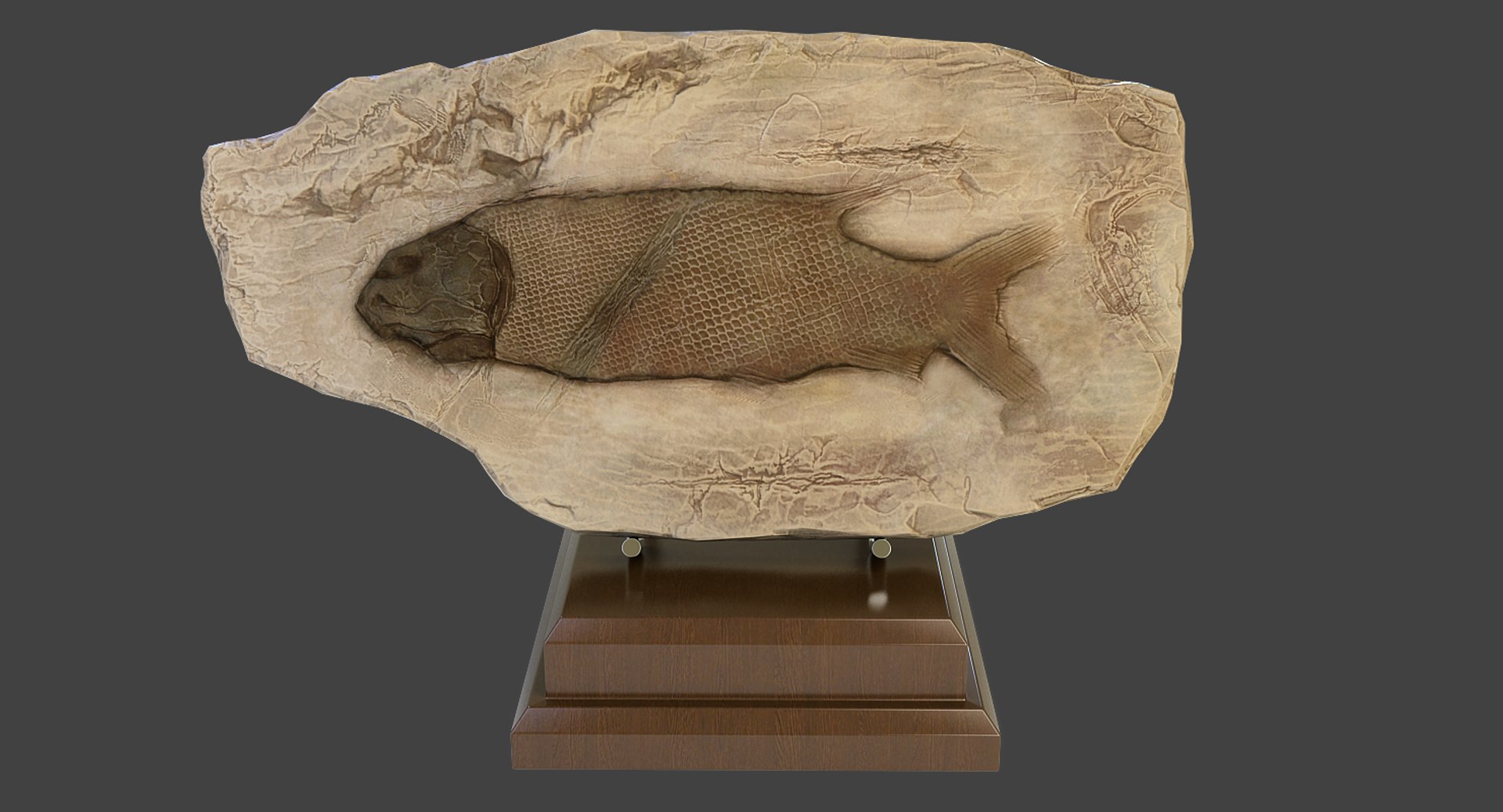 Fossilized Fish 3ds