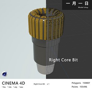 Right Core Bit