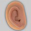 Oreja