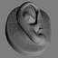 Oreja