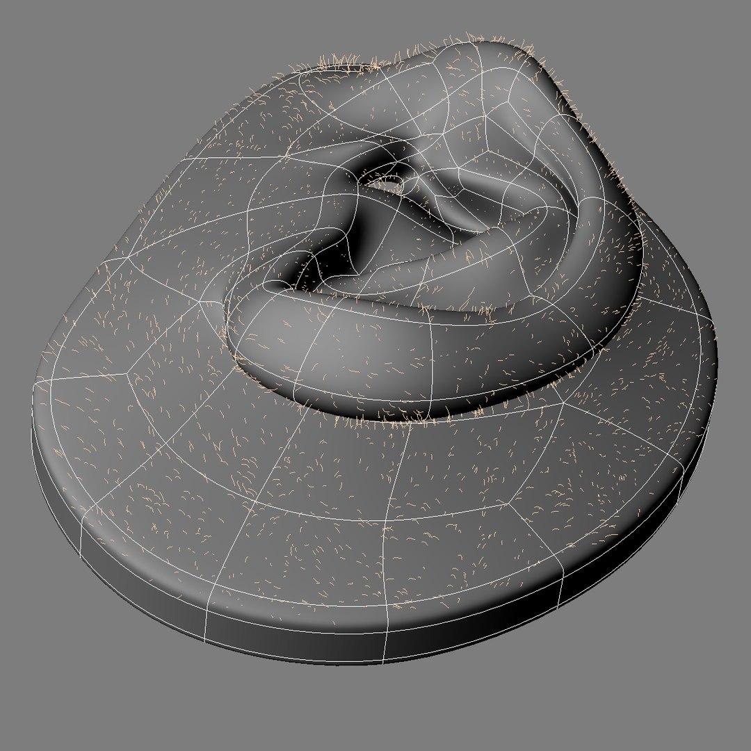 max realistic human ear max7 https://p.turbosquid.com/ts-thumb/UZ/5FYZEr/JLhdoOmO/wire2/jpg/1402082659/1920x1080/fit_q87/9b87ead8e8bef2cbf8a08543f3f7cbd28ab4ecf3/wire2.jpg