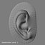 Oreja