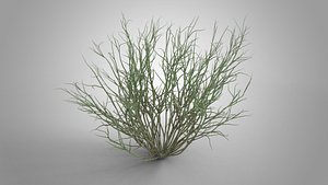 Underwater Grass Animated