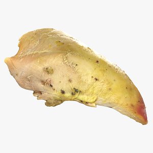 Roasted Chicken Breast 3D model