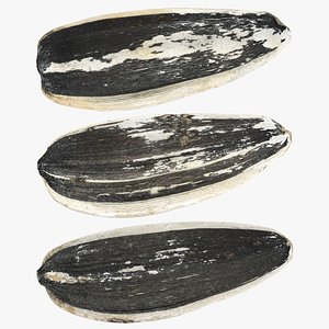 3D Sunflower Seed Collection model