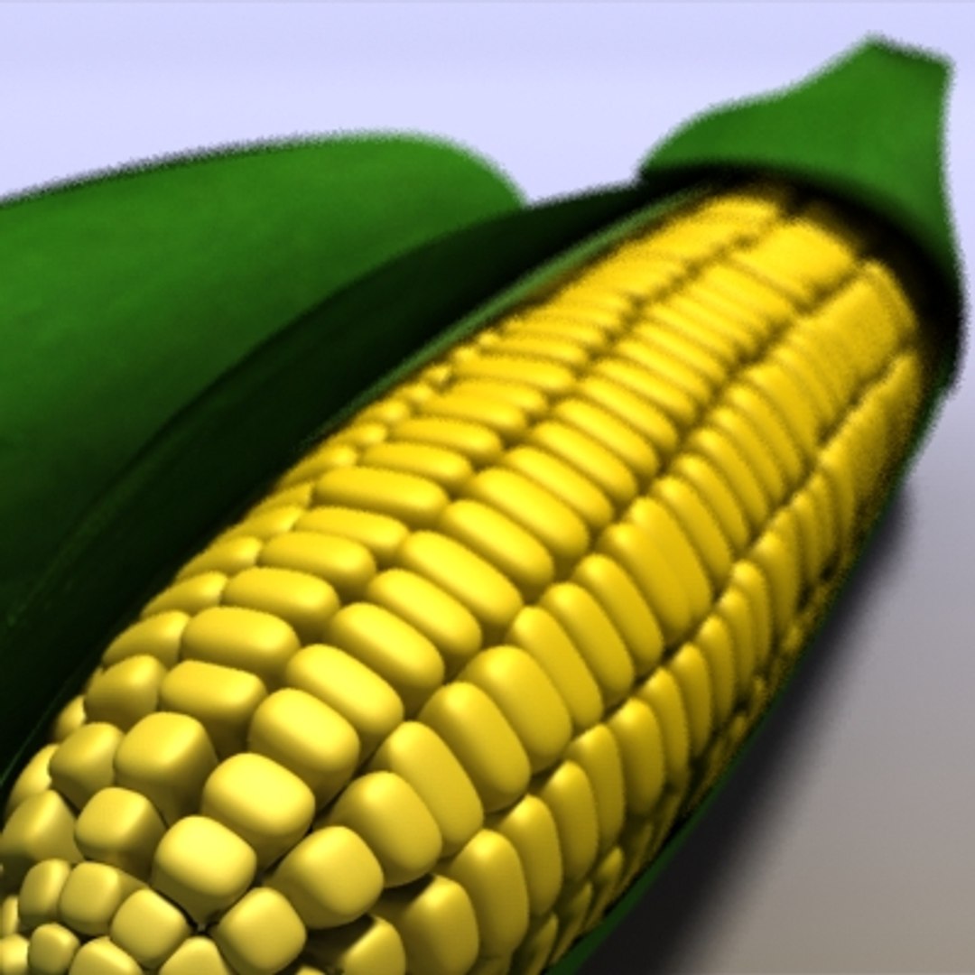 corn field 3d model https://p.turbosquid.com/ts-thumb/UZ/JvzE8U/208ihW0Q/5/jpg/1283904960/1920x1080/fit_q87/1a9f9e10573dc8b736eb3b8e14023ef9e98d71c4/5.jpg