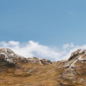 wild 3D model