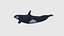 Low Poly Orca Rigged con textura realista