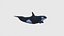 Low Poly Orca Rigged con textura realista