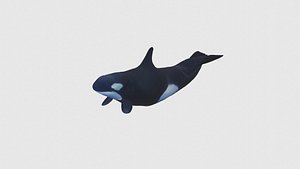Low Poly Orca Rigged With Realistic Texture 3D model